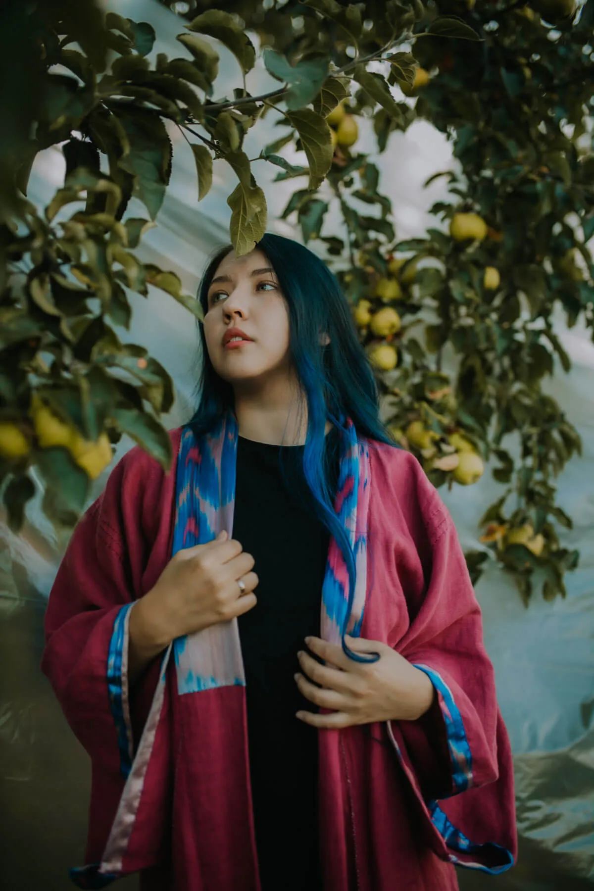 Kimono features